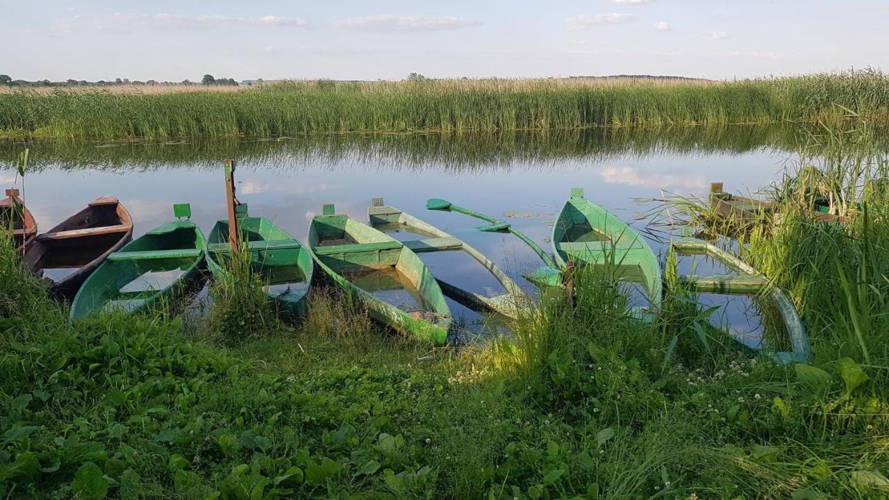 Kurnik Polski Agroturystyka 티코친 외부 사진