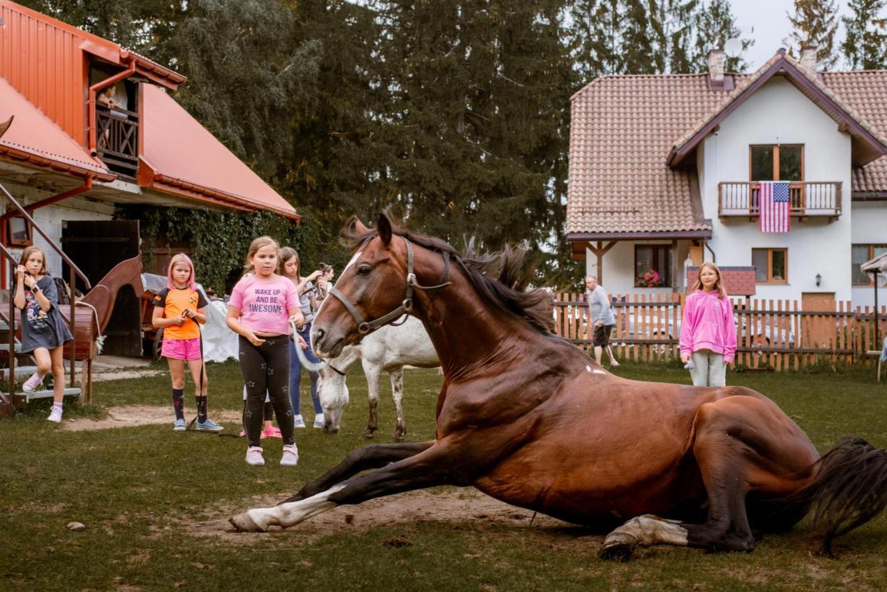 Kurnik Polski Agroturystyka 티코친 외부 사진