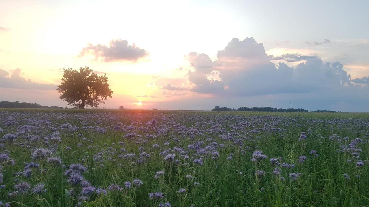 Kurnik Polski Agroturystyka 티코친 외부 사진