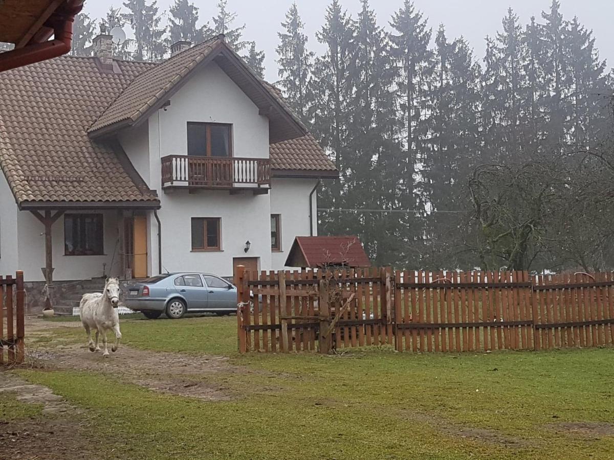 Kurnik Polski Agroturystyka 티코친 외부 사진