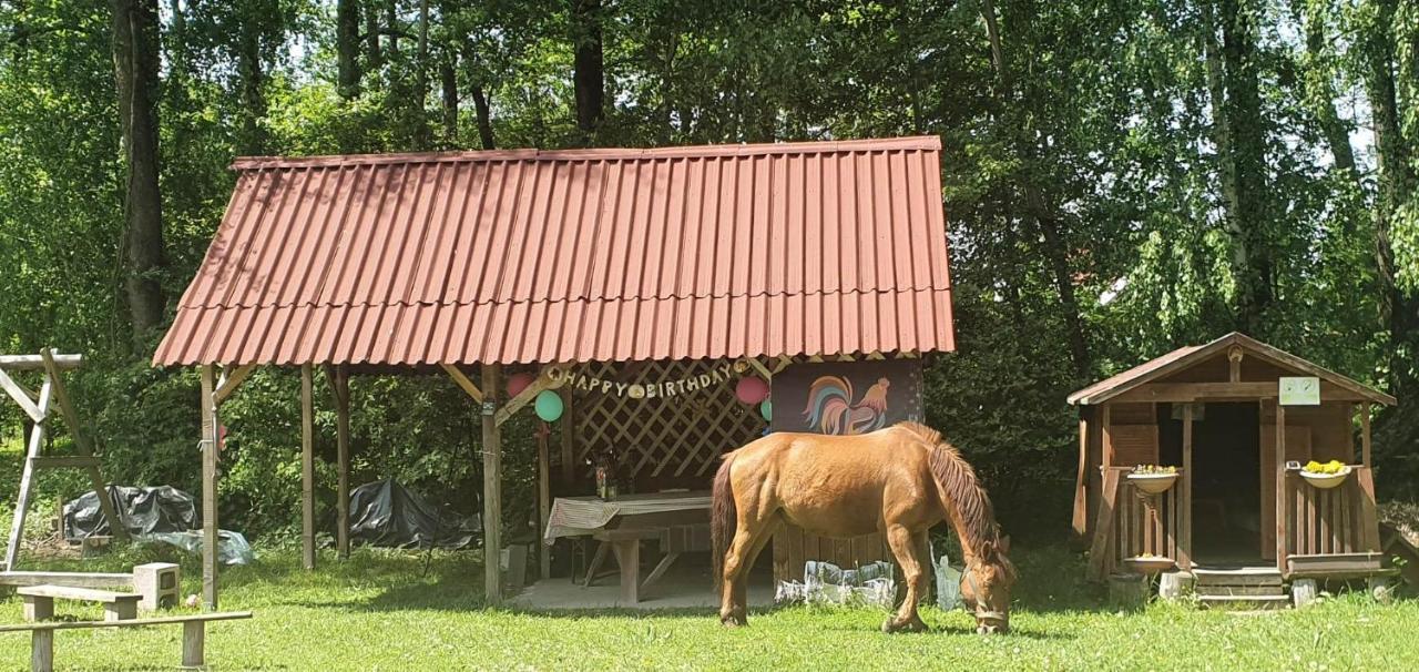 Kurnik Polski Agroturystyka 티코친 외부 사진
